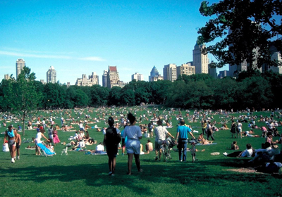 Great Public Spaces of New York